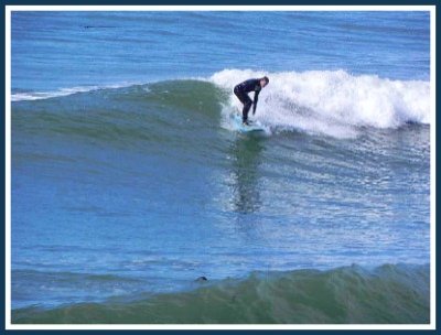 San Simeon State Park